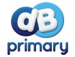 DB Primary